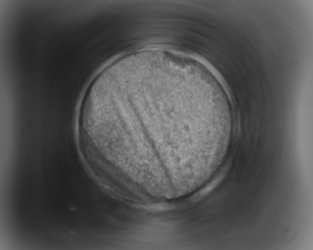 X0000087570957200705251818