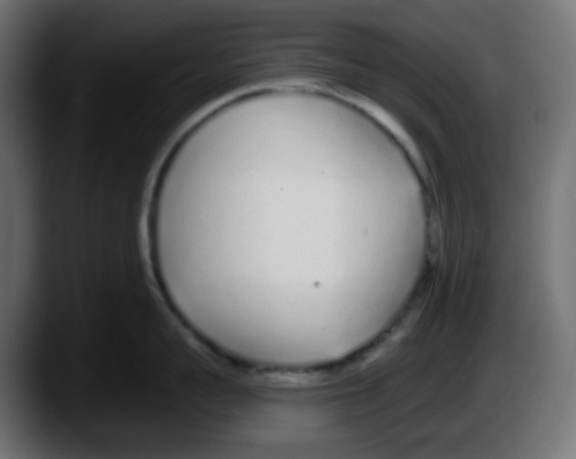 X0000087570959200705251818