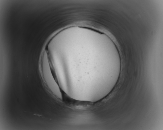 X0000087570960200705251818