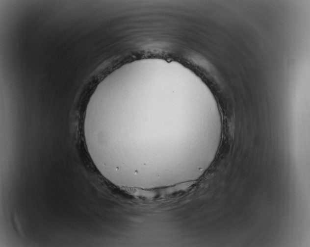 X0000087570968200705251817