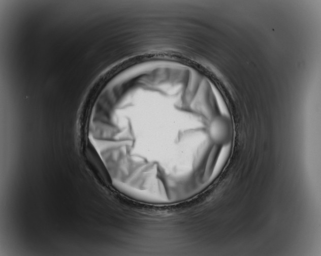 X0000087570975200705251817