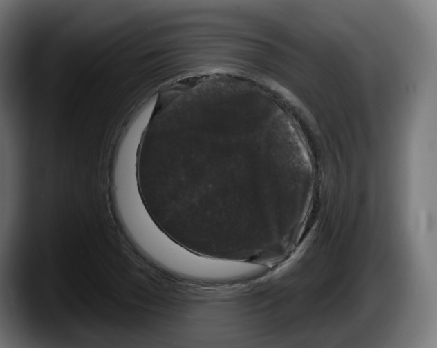 X0000087570977200705251817