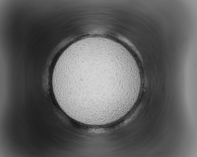 X0000087570978200705251817