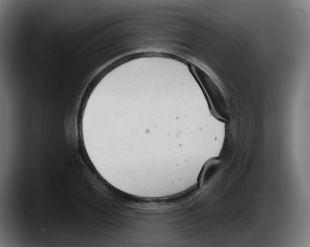 X0000087570980200705251817