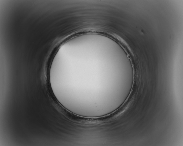 X0000087570981200705251817