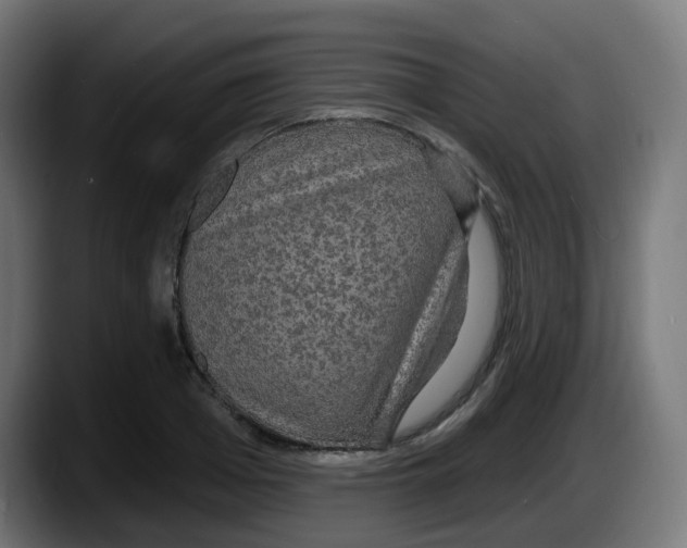 X0000087570985200705251817