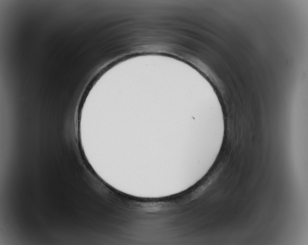 X0000087570988200705251817