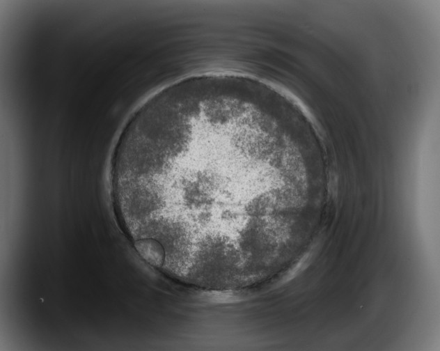 X0000087570990200705251817