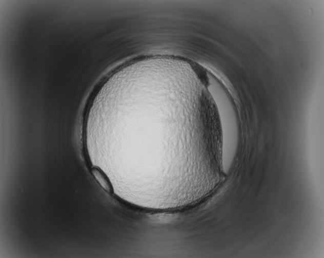 X0000087570992200705251817