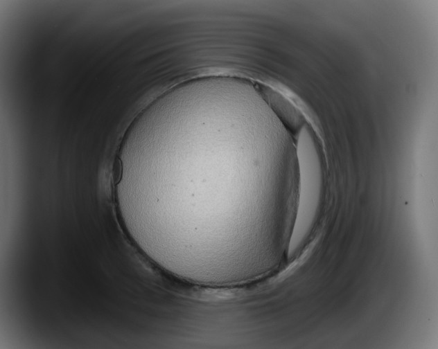 X0000087570993200705251817