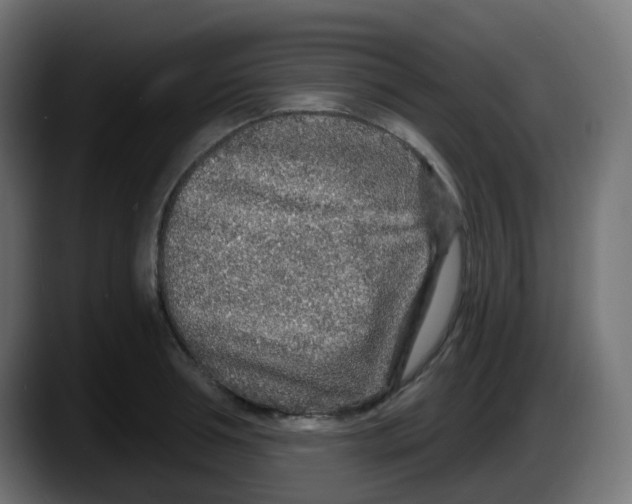 X0000087570994200705251817