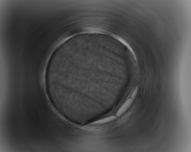 X0000087570995200705251817