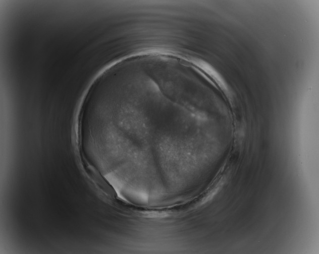 X0000087570996200705251817