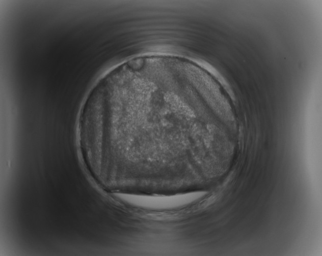 X0000087570998200705251817