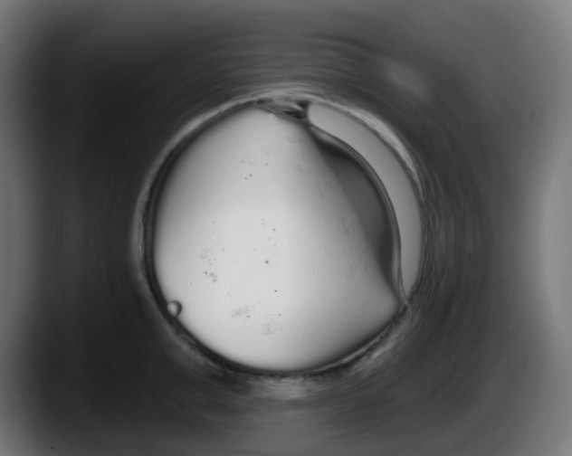 X0000087570999200705251816