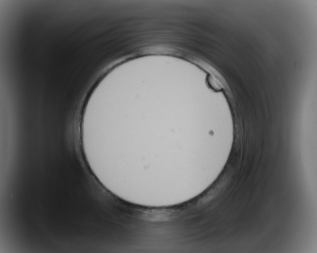 X0000087571000200705251816