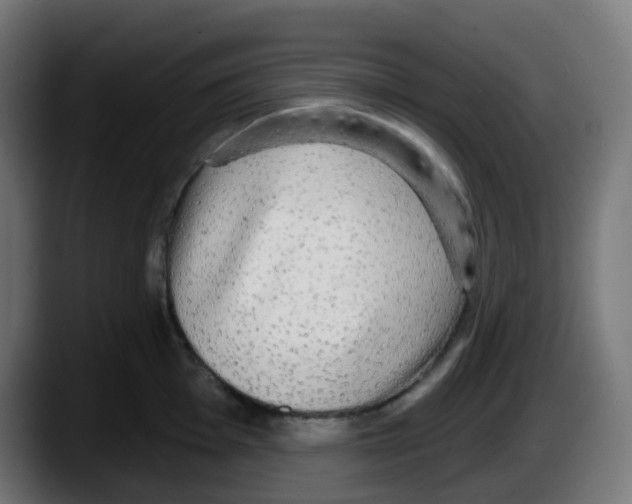 X0000087571001200705251816