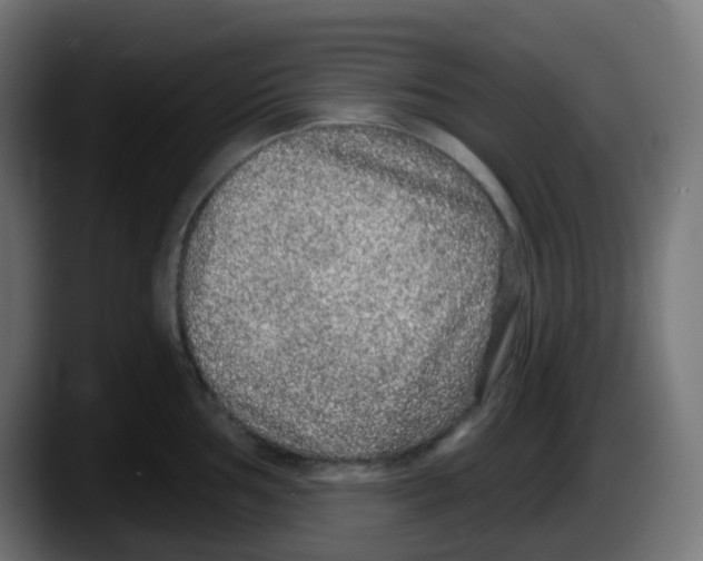 X0000087571002200705251816