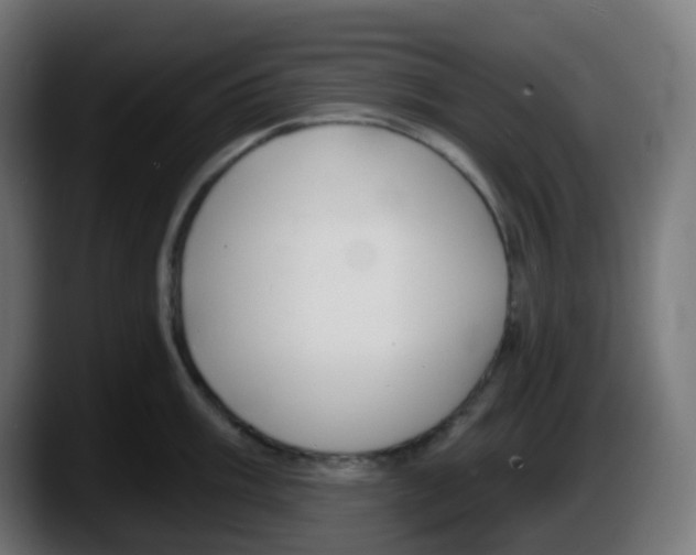 X0000087571003200705251816