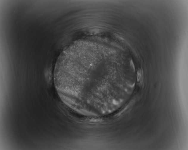 X0000087571011200705251816