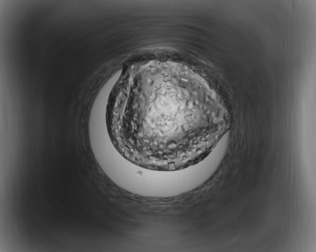 X0000087571014200705251816