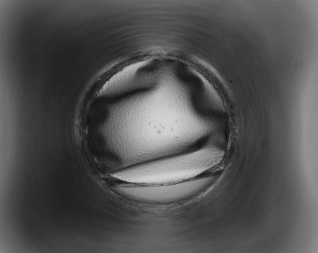 X0000087571018200705251816