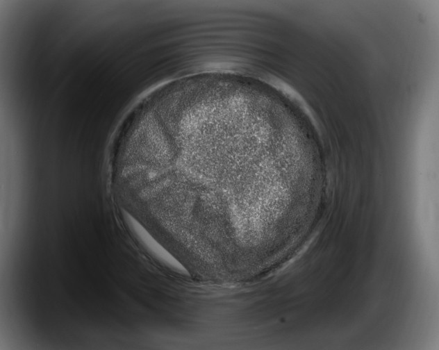 X0000087571019200705251816