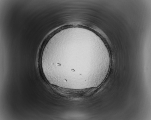 X0000087571020200705251816