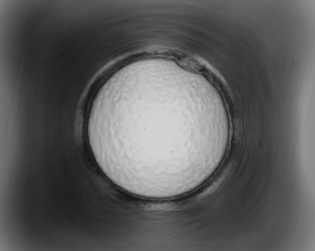 X0000087571021200705251816