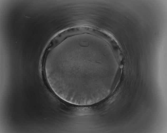 X0000087571024200705251816