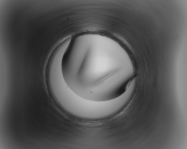 X0000087571026200705251816