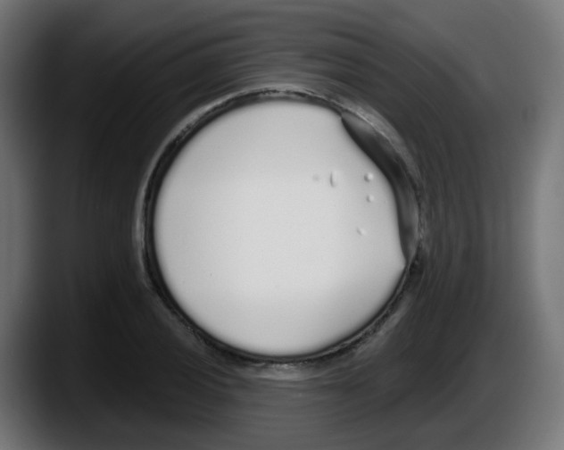 X0000087571028200705251816