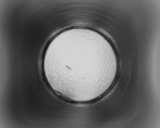 X0000087571029200705251816