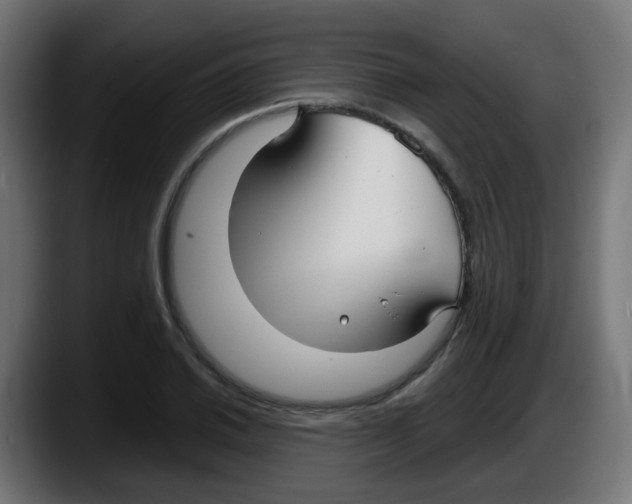 X0000087571030200705251816