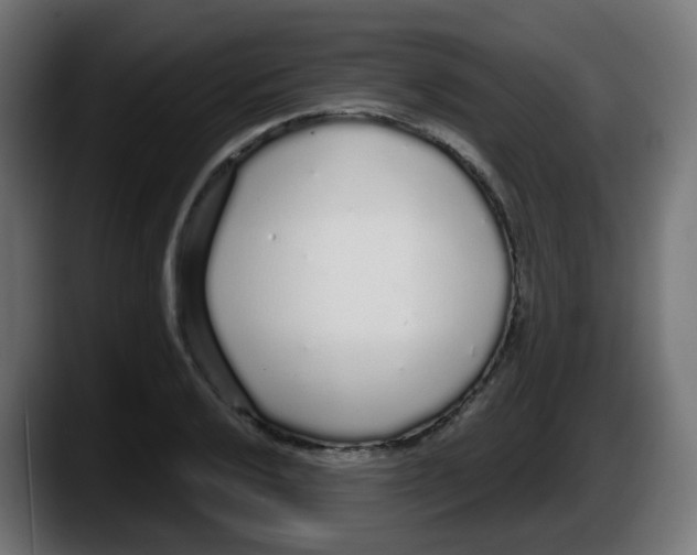 X0000087571032200705251816