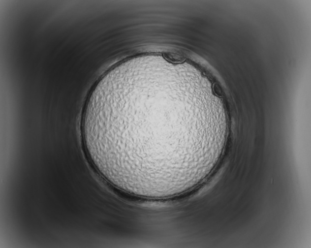 X0000087571033200705251816