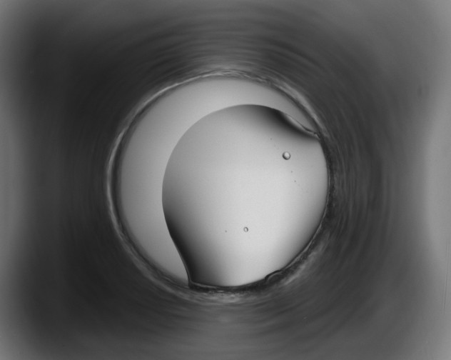 X0000087571034200705251816