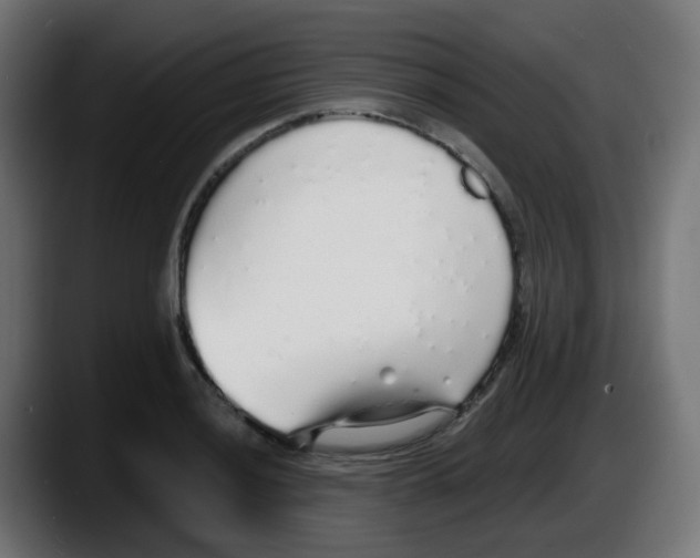 X0000087571036200705251816