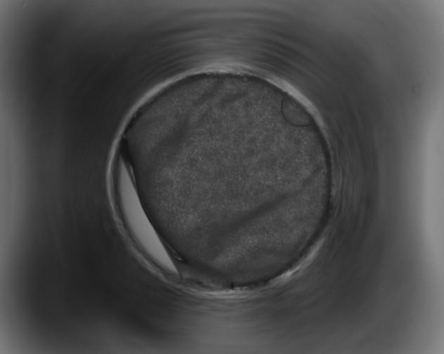 X0000087571037200705251816