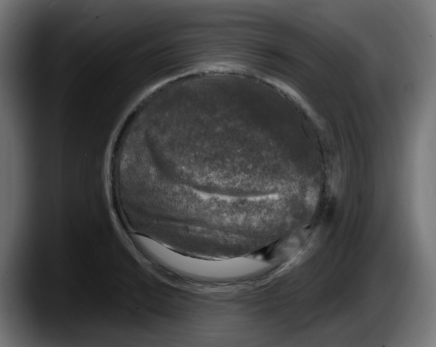 X0000087571038200705251816