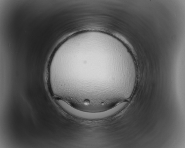 X0000087571040200705251816