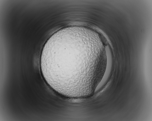 X0000087571041200705251816