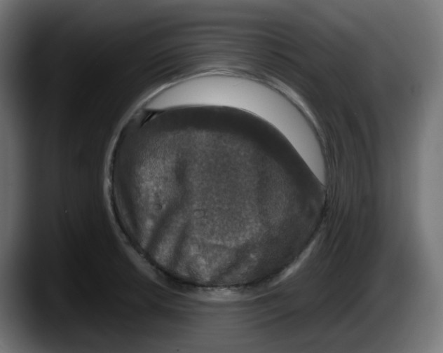 X0000087571042200705251816