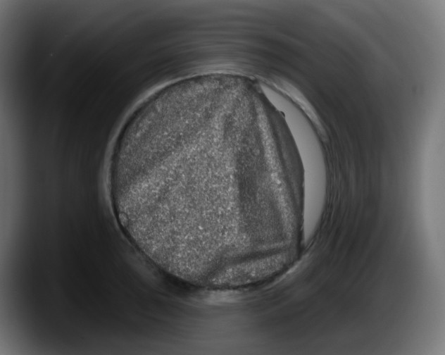 X0000087571043200705251816