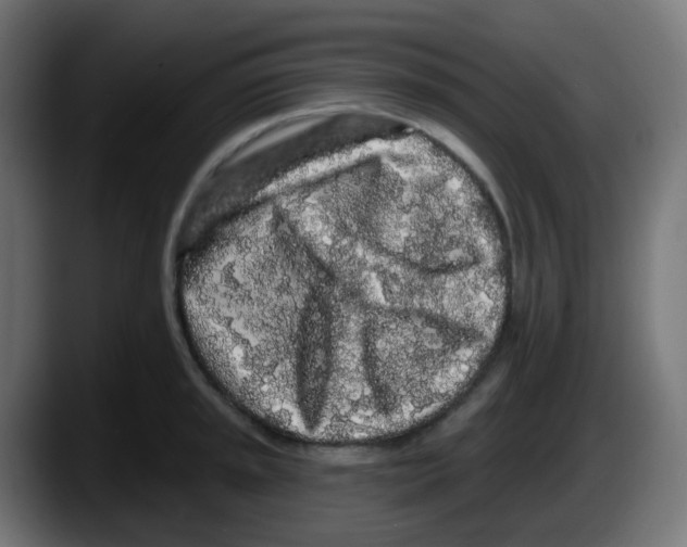 X0000087571045200705251816