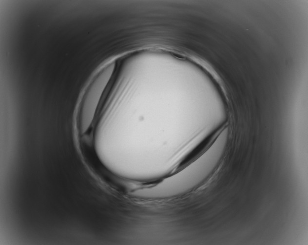 X0000087571048200705251816