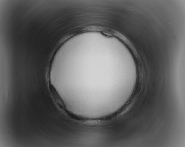 X0000087571049200705251816