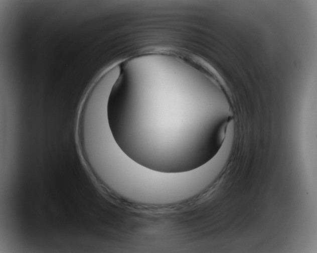 X0000087571050200705251816