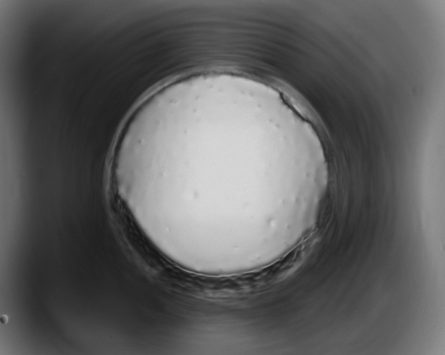 X0000087571052200705251816