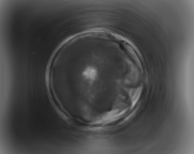 X0000087571054200705251816